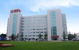 成都格瑞特进出口贸易有限责任公司 专业进出口代理服务，助力企业高效拓展国际市场