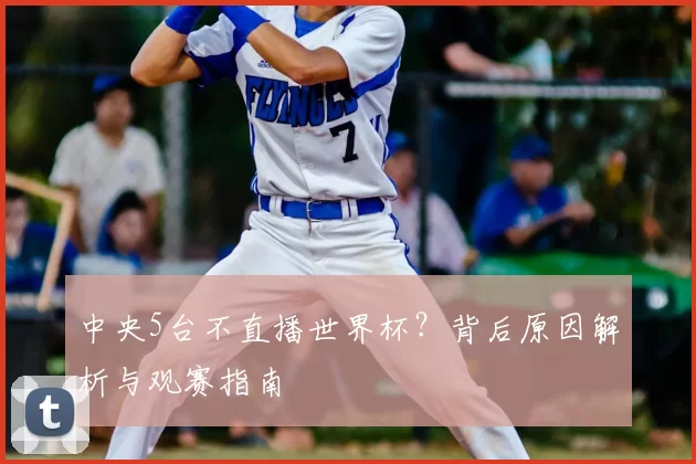 中央5台不直播世界杯？背后原因解析与观赛指南