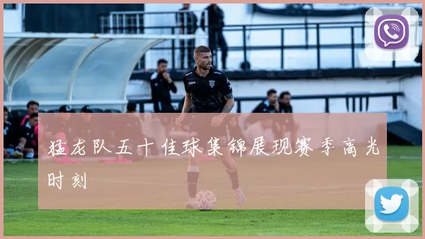 猛龙队五十佳球集锦展现赛季高光时刻