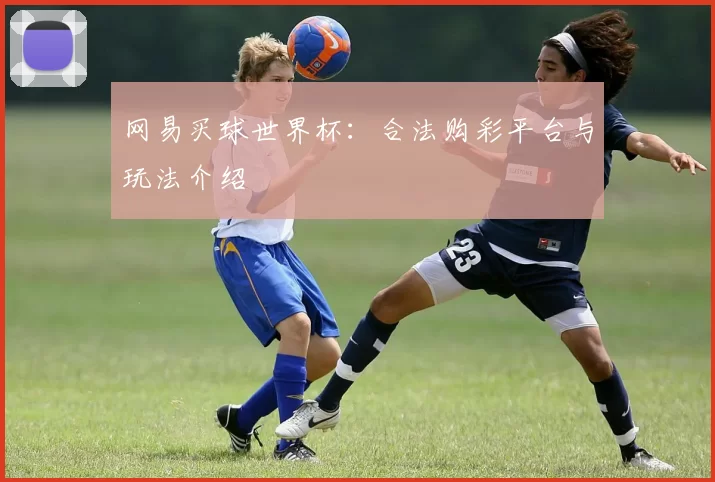 网易买球世界杯：合法购彩平台与玩法介绍