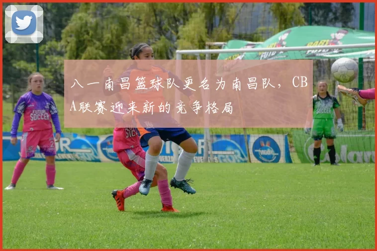 八一南昌篮球队更名为南昌队，CBA联赛迎来新的竞争格局