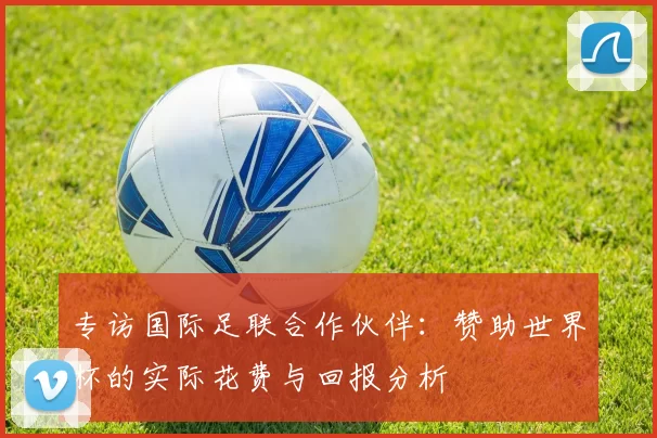 专访国际足联合作伙伴：赞助世界杯的实际花费与回报分析