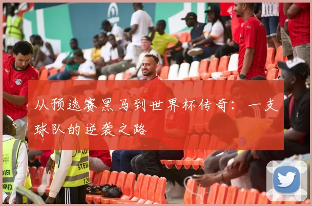 从预选赛黑马到世界杯传奇：一支球队的逆袭之路