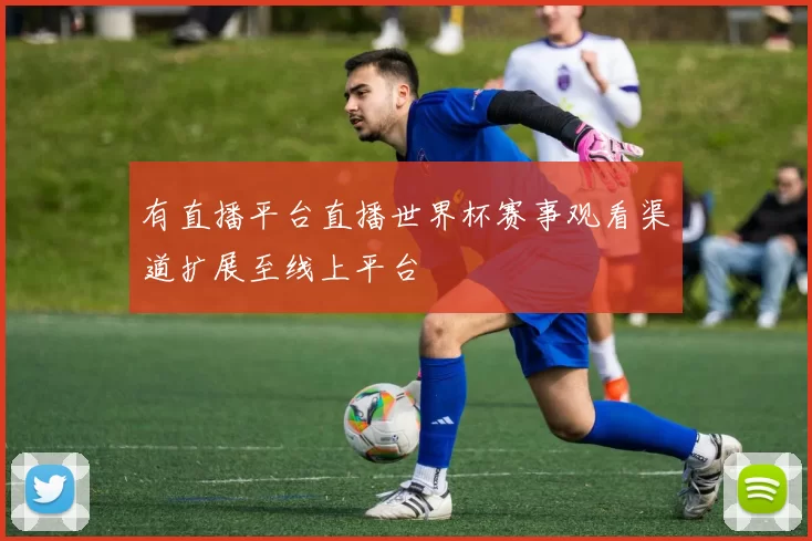 有直播平台直播世界杯赛事观看渠道扩展至线上平台
