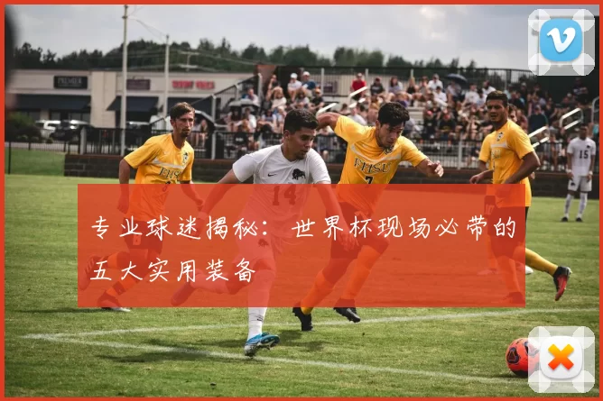 专业球迷揭秘：世界杯现场必带的五大实用装备